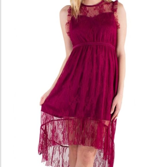 Women's Eyeshadow Sheer Lace Dress with Lining - Picture 2 of 5